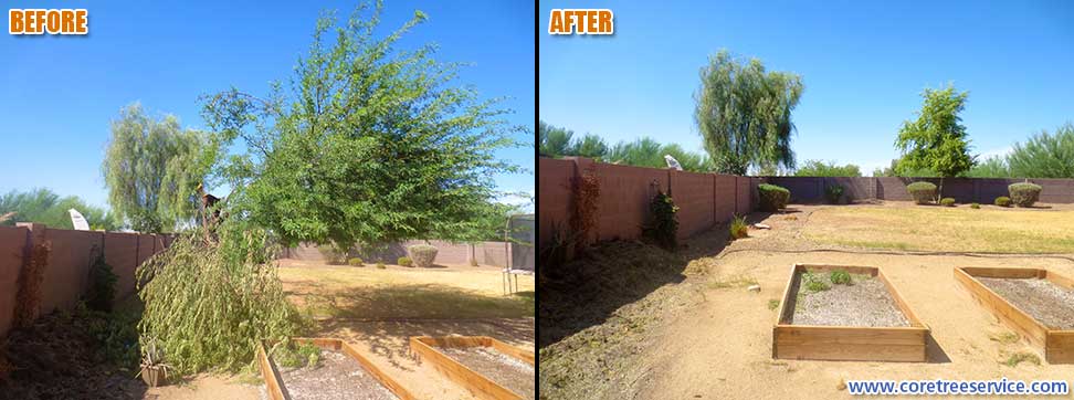 Before & After, Mesquite storm damage in Chandler, 85249