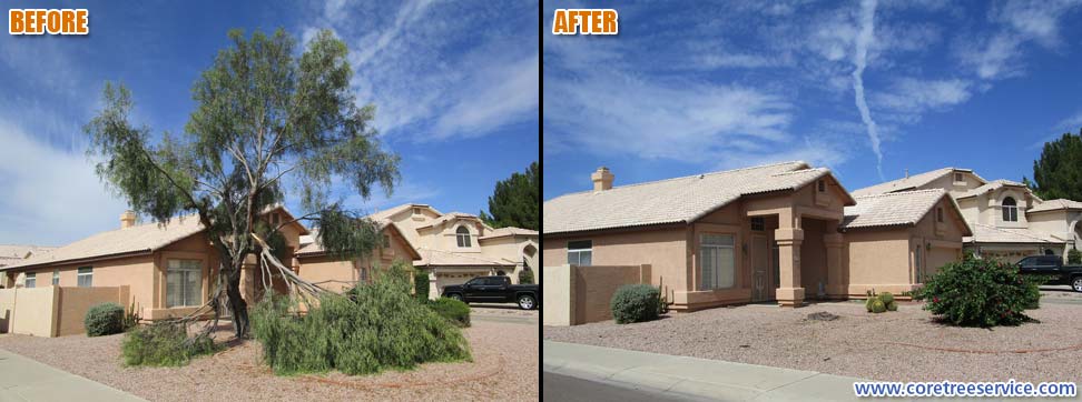 Before & After, Acacia tree storm damage in Goodyear, 85395