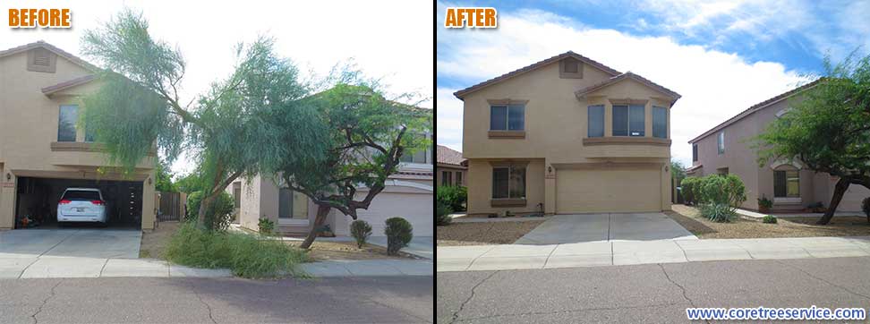 Before & After, removal of a Palo Verde tree in Phoenix, 85024