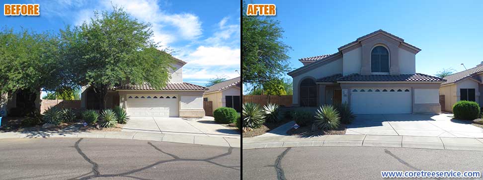 Before & After, removal of a Mesquite tree in Phoenix, 85024