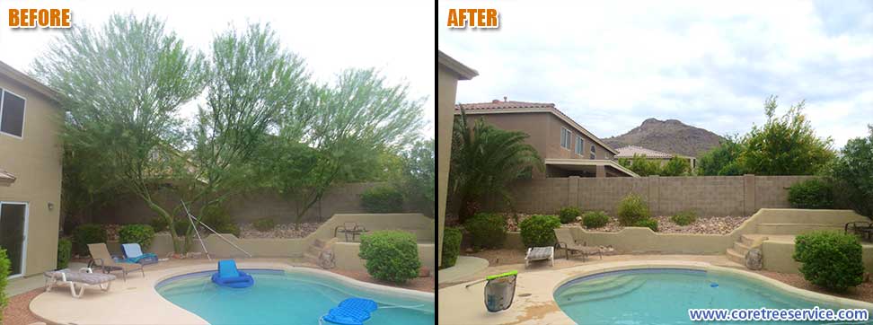 Before & After, removal of 2 Palo Verde trees in Phoenix, 85083