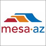 City Of Mesa Emblem