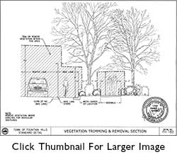 Vegetation Trimming & Removal Section