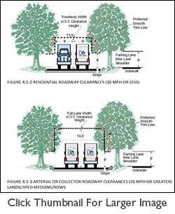 8-1.203 Placement Of Trees & Shrubs