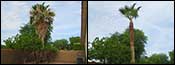 Avondale, 85392
