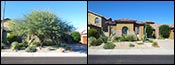Desert Ridge, 85050