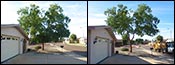 Glendale, 85302