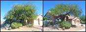 Phoenix, 85050