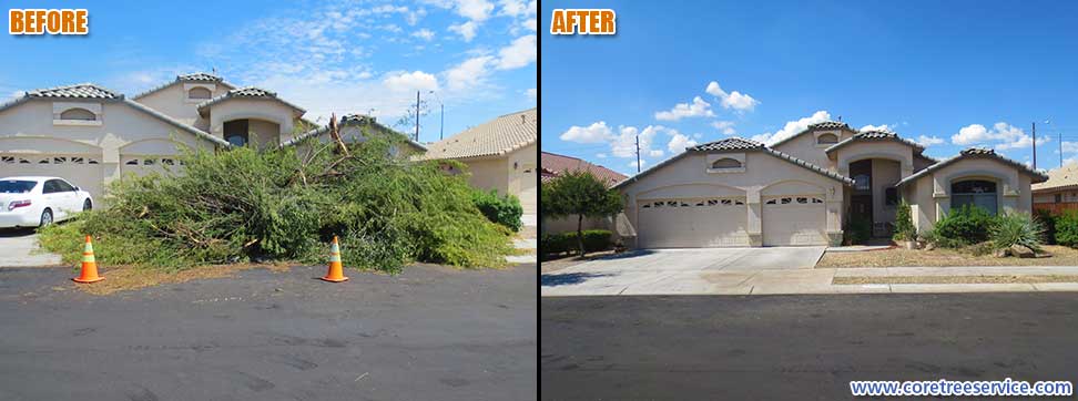Before & After, Mesquite tree storm damage in Goodyear, 85338