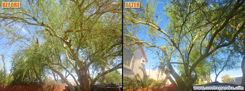 Before & After, Palo Brea storm damage in Peoria, 85382