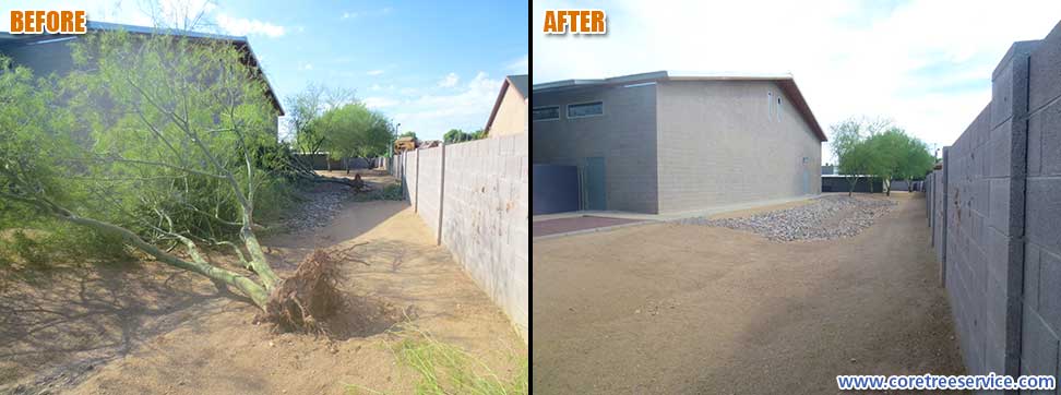 Before & After, Palo Verde storm damage in Peoria, 85382