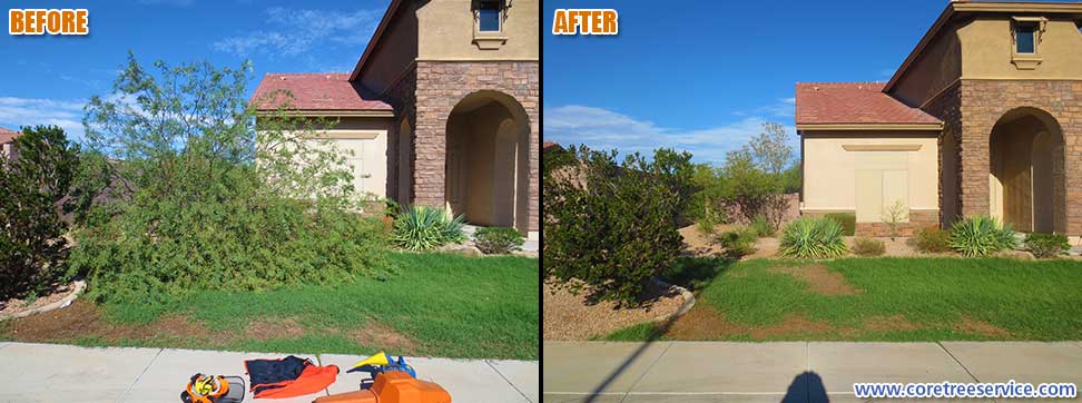 Before & After, Mesquite tree falls after storm in north Phoenix, 85085