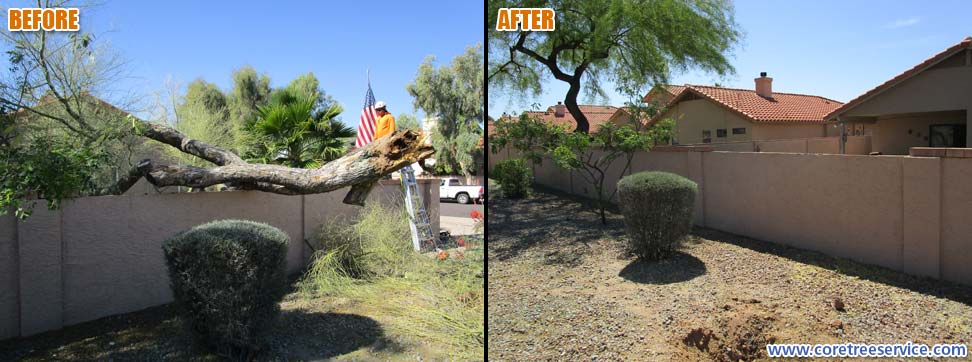 Before & After, Palo Verde tree storm damage in Scottsdale, 85260