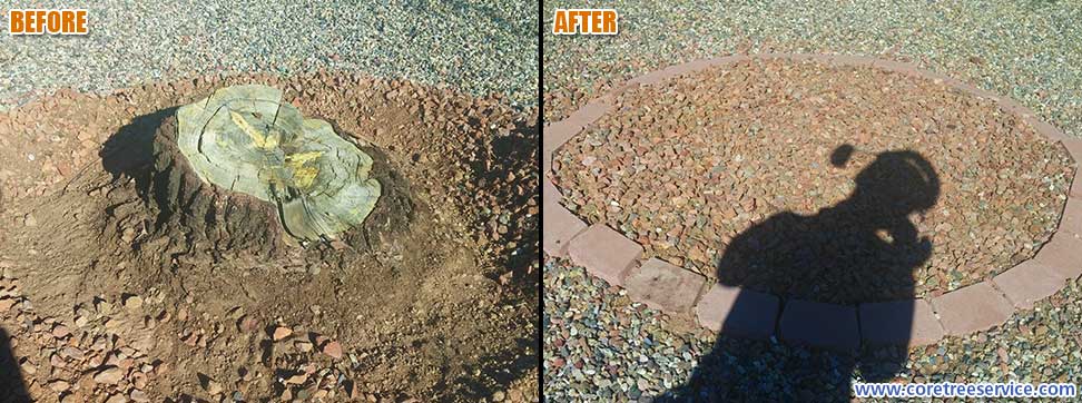 Before & After, stump grinding a Pine tree stump in Sun City, 85373