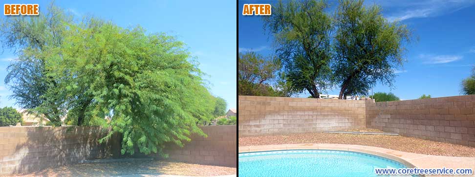 Before & After, removal of a Mesquite tree in Glendale, 85310
