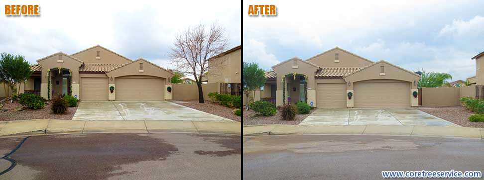 Before & After, removal of Ash tree in Peoria, 85383
