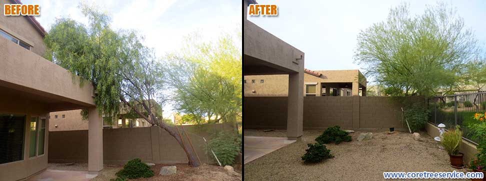 Before & After, removal of a leaning tree in Peoria, 85383