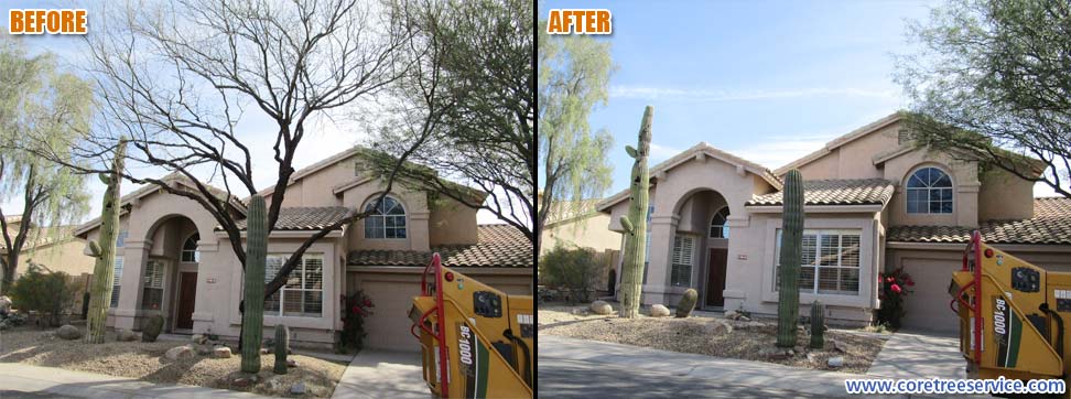 Before & After, removal of a sick Mesquite tree in Scottsdale, 85255