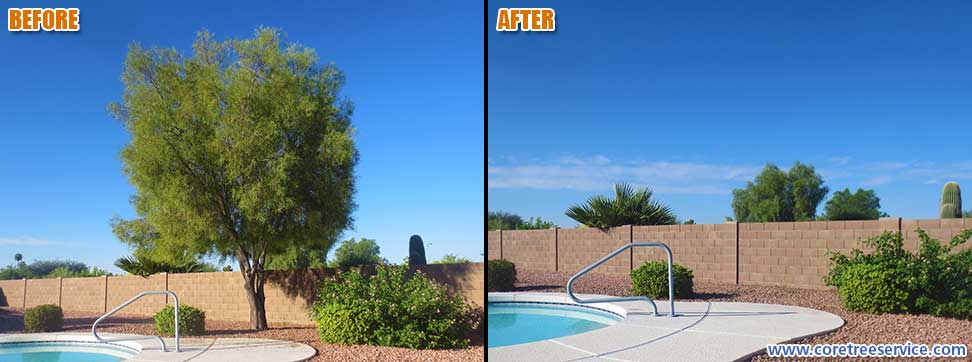 Before & After, removal of a Mesquite tree in Sun City, 85373
