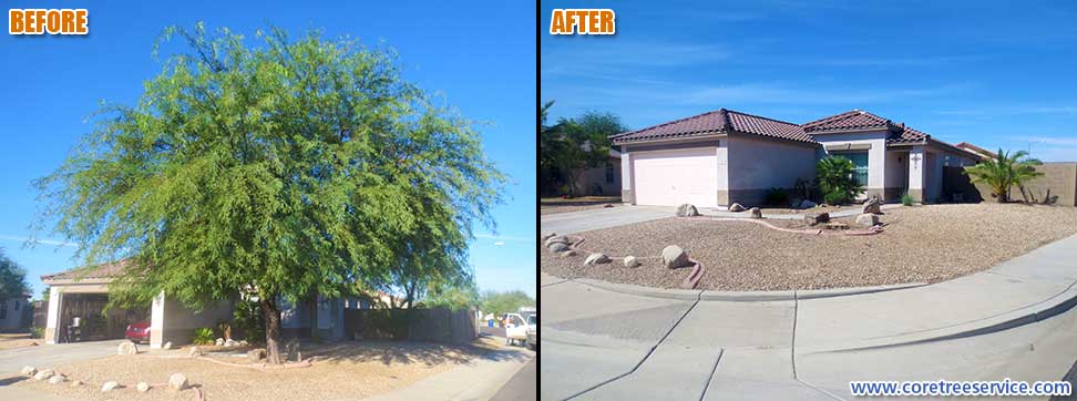 Before & After, removal of a cracked Mesquite tree and Willow Acacia tree in Surprise, 85379